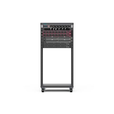 19. Digitus Universal Equipment Cabinet, 19 Inch with Casters, 21U