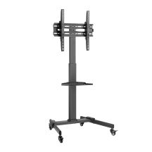 Mobile TV mount - stand with shelf