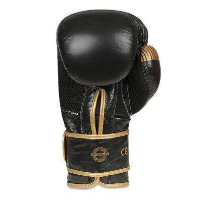 6. 10oz Boxing Gloves - Aureos - Valor Series