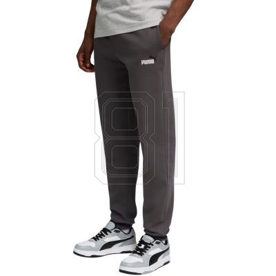 2. Puma ESS 2 Color No. 1 Logo Pants M 684713 44