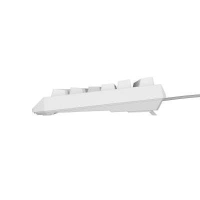 7. GENESIS Thor 230 TKL USB + RF QWERTY keyboard