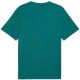 3. Men's Puma Class Graphic Tee green 692226 41