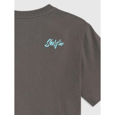 5. Men's regular printed T-shirt 4F 4FRSS26TTSHM4295-22S