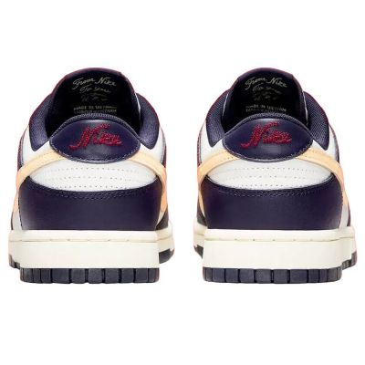 5. Nike Men's Dunk Low Retro Shoes FV8106-181