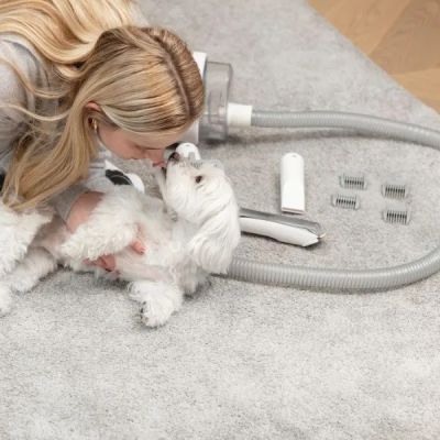 17. MPM MOD-1000 device for home care of dogs and cats