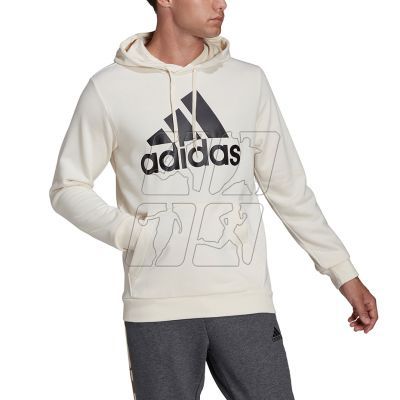 3. Adidas Big Logo Hoody FT HD M HE1846 sweatshirt