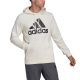 3. Adidas Big Logo Hoody FT HD M HE1846 sweatshirt
