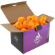 6. JOOLA MAGIC ABS TABLE TENNIS BALLS 72 PCS ORANGE