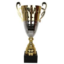 Gold-Silver Metal Trophy