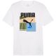 3. Puma Graphics Summer Sports Tee II M 627909 02