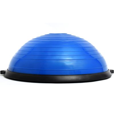 7. Bosu BL001 Balance Board with Handles