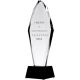 9. Engraved glass trophy H 31 cm