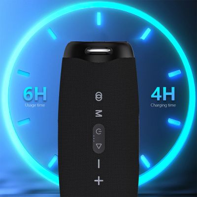 13. Dudao Y21Pro Wireless Speaker with RGB Backlight Bluetooth 5.3 - Black