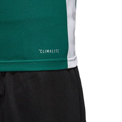5. adidas Entrada 18 Jr T-shirt CD8358
