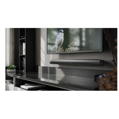 8. Sharp HT-SB100 Speaker Module Black 2.0 Channel 75 W