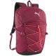 5. Puma Plus Pro Backpack 79521 07