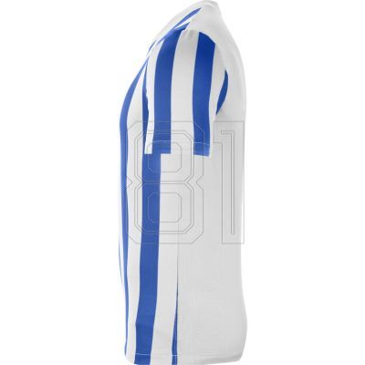 3. Nike Striped Division IV M CW3813-102 Football Jersey