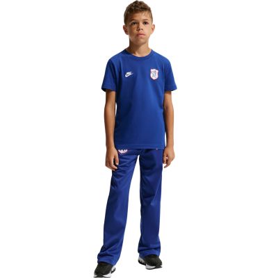 6. Nike Chelsea FC Premier Kids' T-Shirt Blue IQ5003 495
