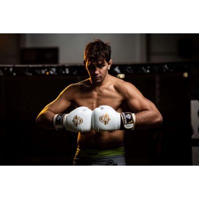 4. 10oz Boxing Gloves - Spirit - Valor Series