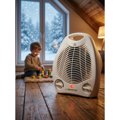 3. ESPERANZA FAN HEATER 1000/2000W GOBI EHH011