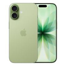 Apple iPhone 17 16 cm (6.3") Dual SIM iOS 26 5G USB Type-C 512 GB Sage