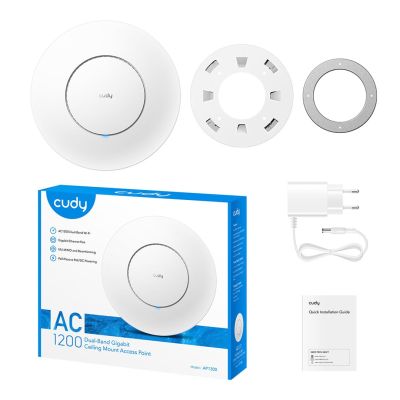 12. Access Point CUDY AP1300_P