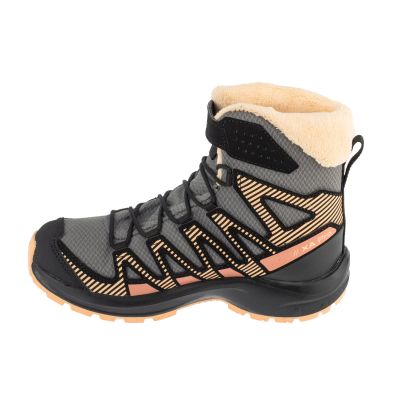 2. Salomon XA Pro 3D V8 Winter CSWP J L47780000 Gray 31
