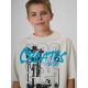 3. Boy's cotton T-shirt 4F 4FJRSS26TTSHM4167-27S