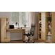 9. COSMO OAK ARTISAN Desk + Shelf Set