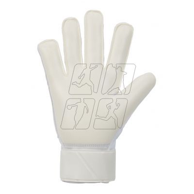 2. Nike Match M FJ4862-100 goalkeeper gloves