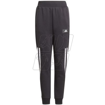 6. Pants adidas Future Icons Jr. GT9433