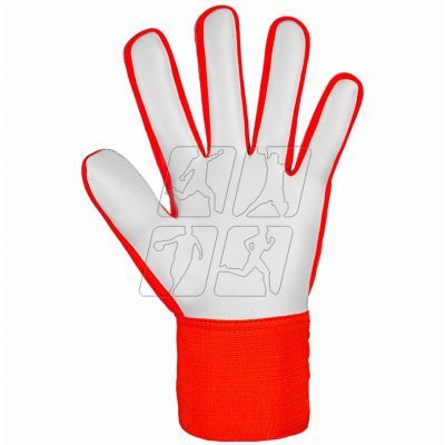 4. Reusch Attrakt Starter Solid Jr goalkeeper gloves 5472514 2210