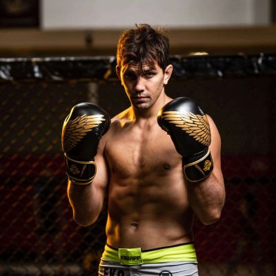 27. 8oz Boxing Gloves - Hawk - Origin Series