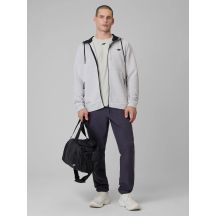 Men's quick-drying training pants 4F 4FRSS26TFTRM1411-23S
