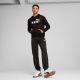 8. Puma ESS No.1 Logo Hoodie FL M 682570 01