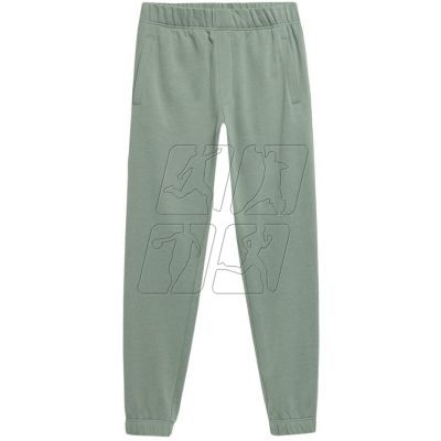 Outhorn M HOL22 SPMD604 41S pants