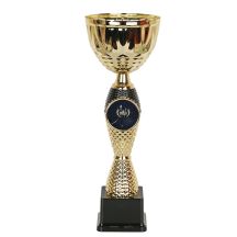 Triumph Cup 4221