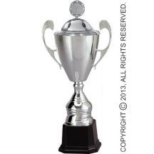 Silver metal cup with lid