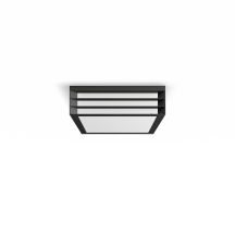 Moonshine ceiling light, anthracite, 2x E17/14 W, IP44, aluminium/plastic