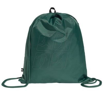 2. Bag, backpack adidas Linear IN6132