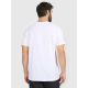 2. Men's regular printed T-shirt 4F 4FRAW25TTSHM3384-10S