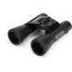 11. Celestron UpClose G2 16x32 Binoculars 50234712347