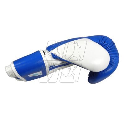 12. Leather boxing gloves MASTERS RBT-TRW 01210-02