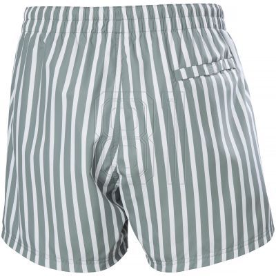 2. Helly Hansen Newport Trunk M 34296 485 Swim Shorts