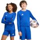 adidas Entrada 26 Long Sleeve Jersey Kids' Shirt, Blue, KF5886