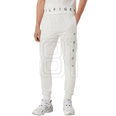 10. Tommy Hilfiger Mono M pants MW0MW22154