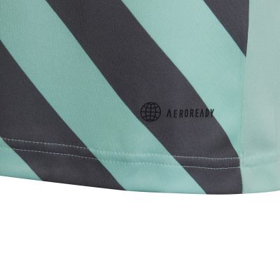 10. adidas Entrada 22 Graphic Jersey Jr HF0127