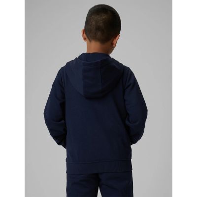 2. Boy's regular hooded sweatshirt 4F 4FJRMM00TSWSM2747-31S