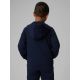 2. Boy's regular hooded sweatshirt 4F 4FJRMM00TSWSM2747-31S