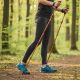 12. NORDIC WALKING TRIP POLES IN ENERO PRO CASE
